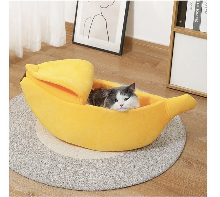 새제품) 고양이 숨숨집