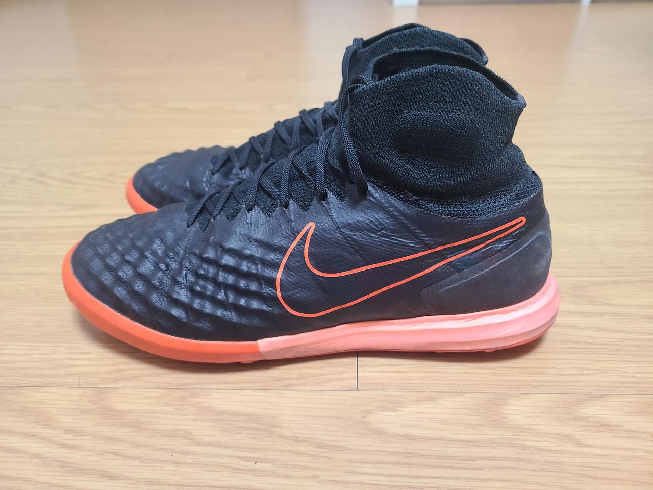 마지스타 프록시모2 TF