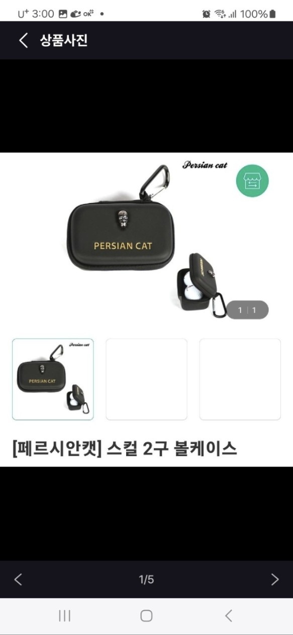 [페르시안캣] 스컬 2구 볼케이스