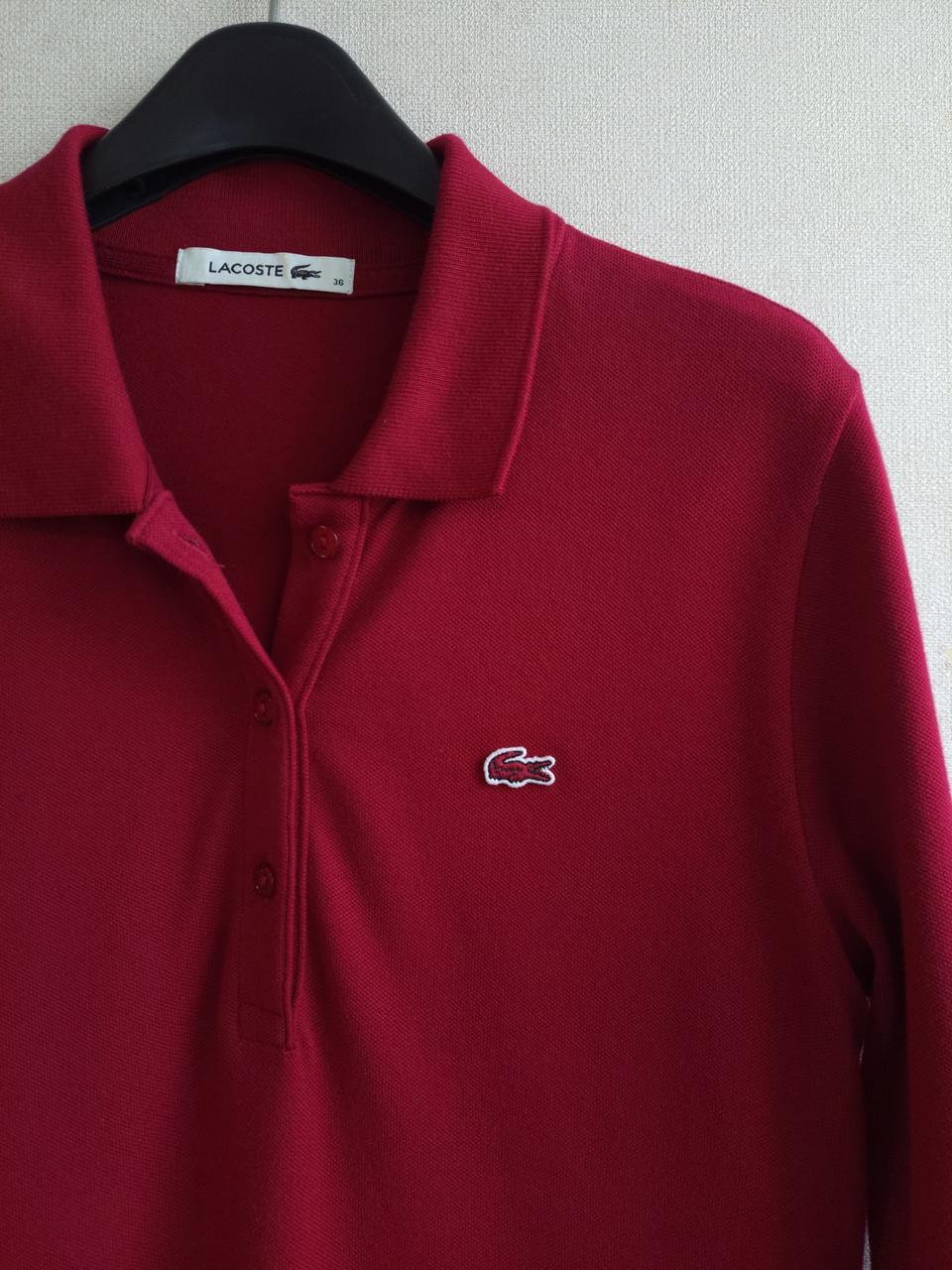 라코스테 PK원피스36