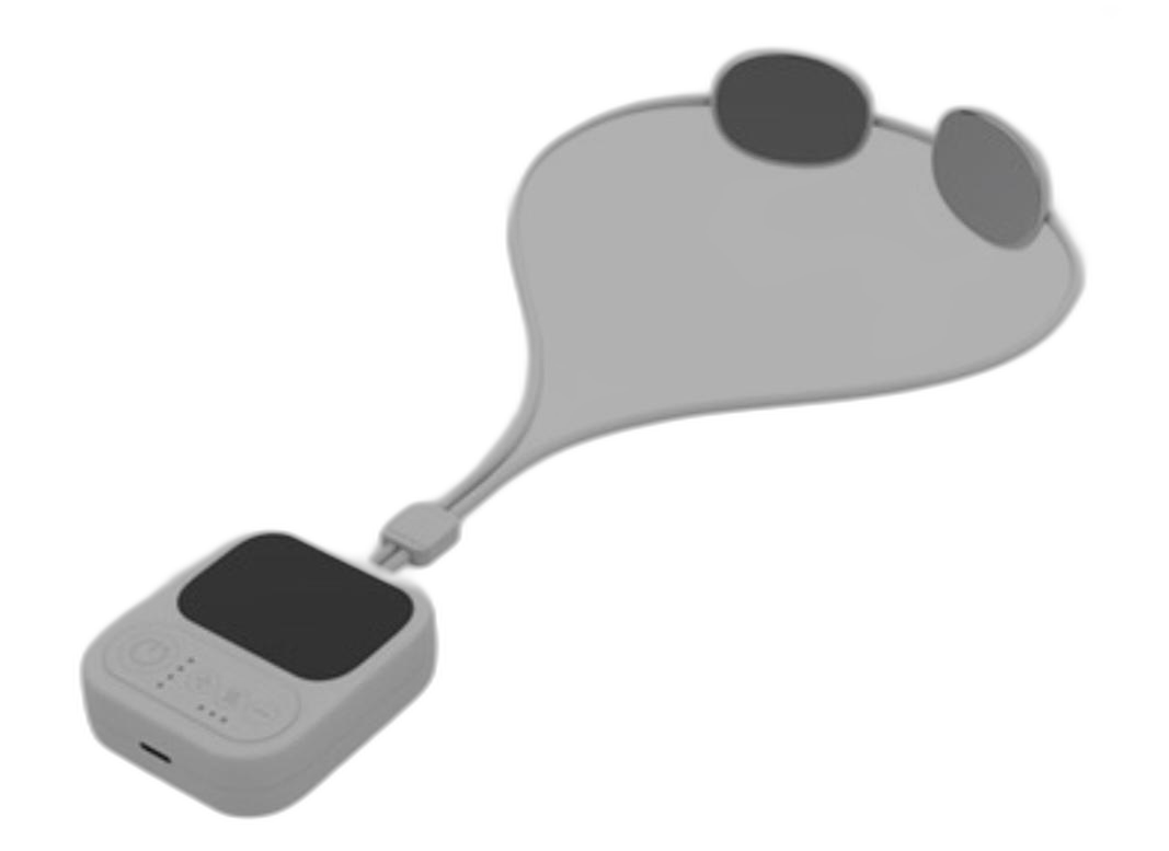 스위스 밀리터리 저주파 마사지기