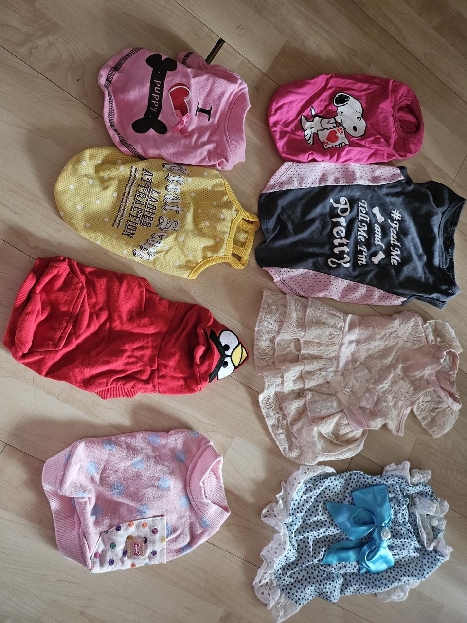 애견용품 의류 옷