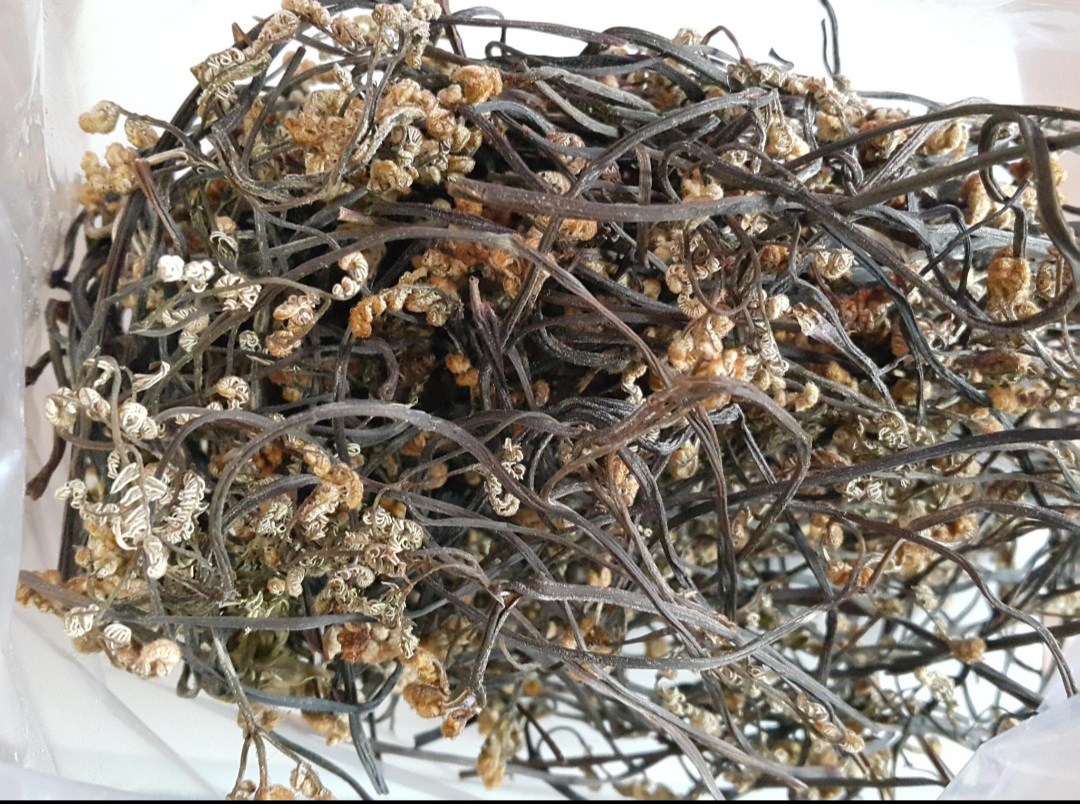 25년 햇고사리 500g(마지막1봉지 할인)