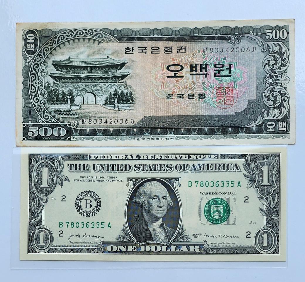 남대문 500원 지폐 사용제 행운의 1달러 일괄 | 헬로마켓