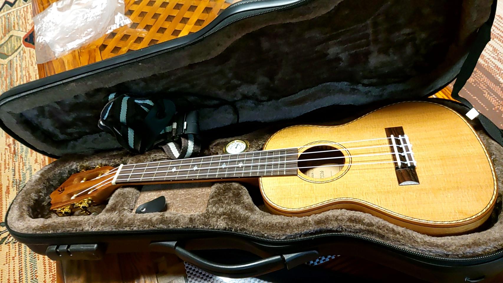 플라잉 핑거 ㅡ 기타