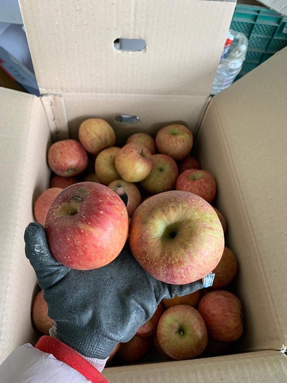 부사 보통 5키로 30000 무료배송