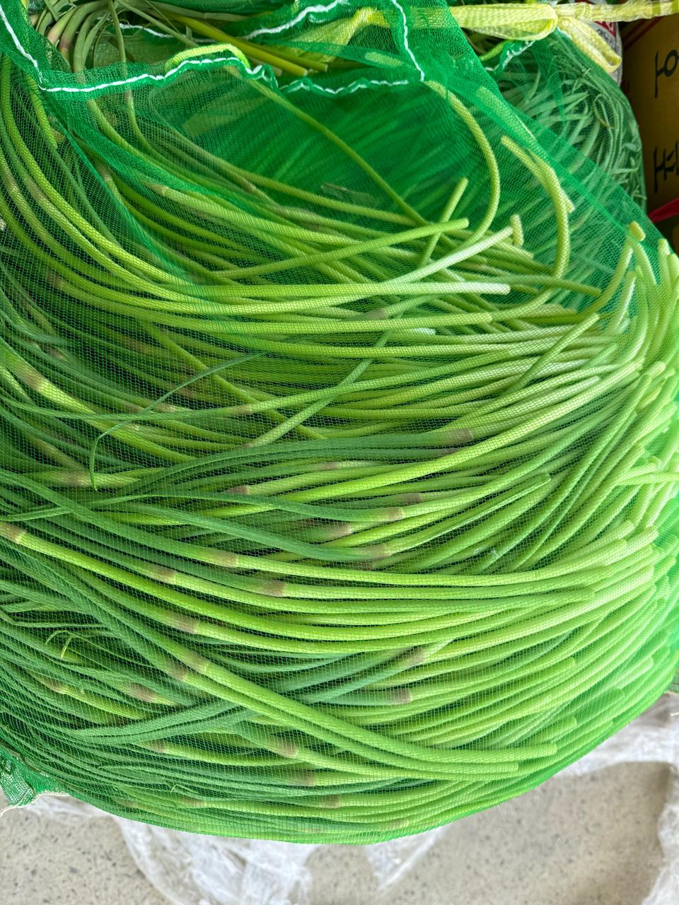 국산 마늘쫑 10키로 33000 무료배송