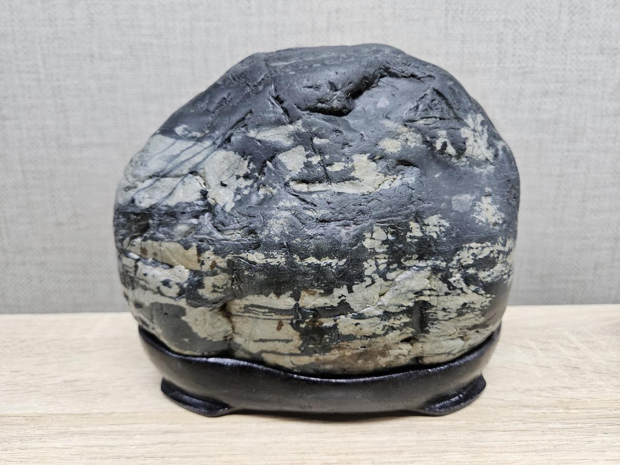 수석 돌 일광 해석 수림석 색채석