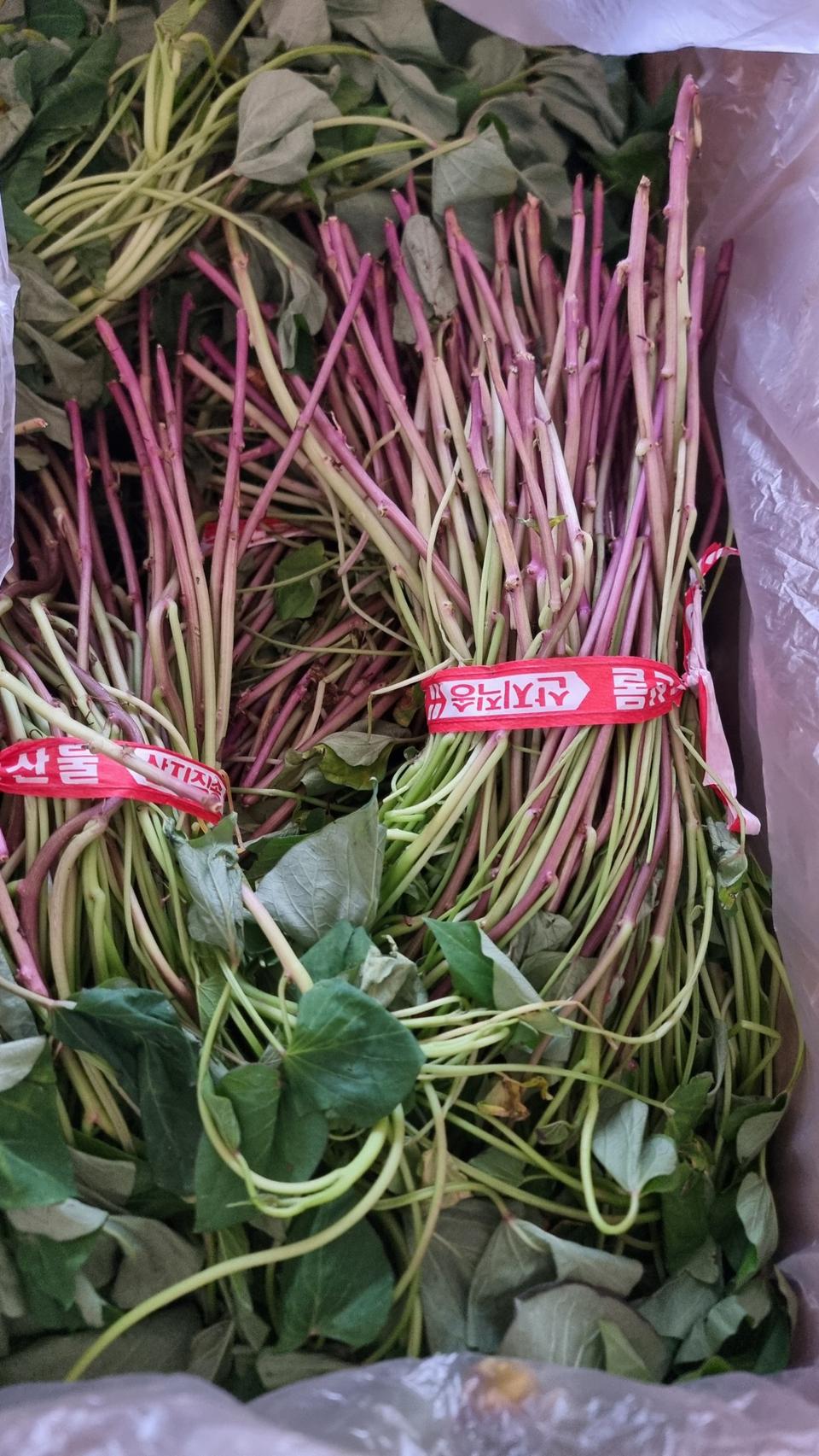 해남베니꿀고구마순20키로88000택비포함