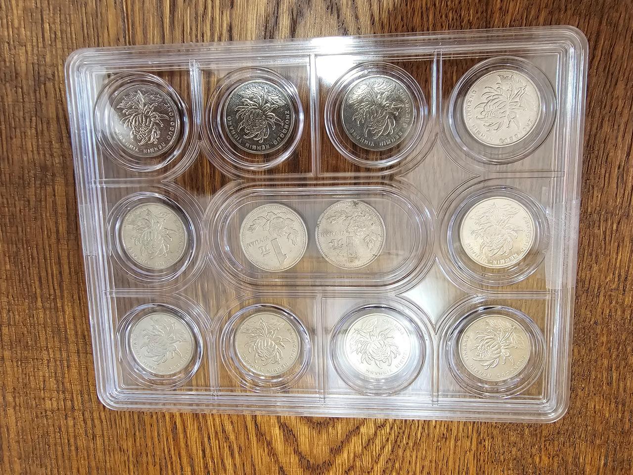 중국 인민폐 주화 1위안 줄세우기.