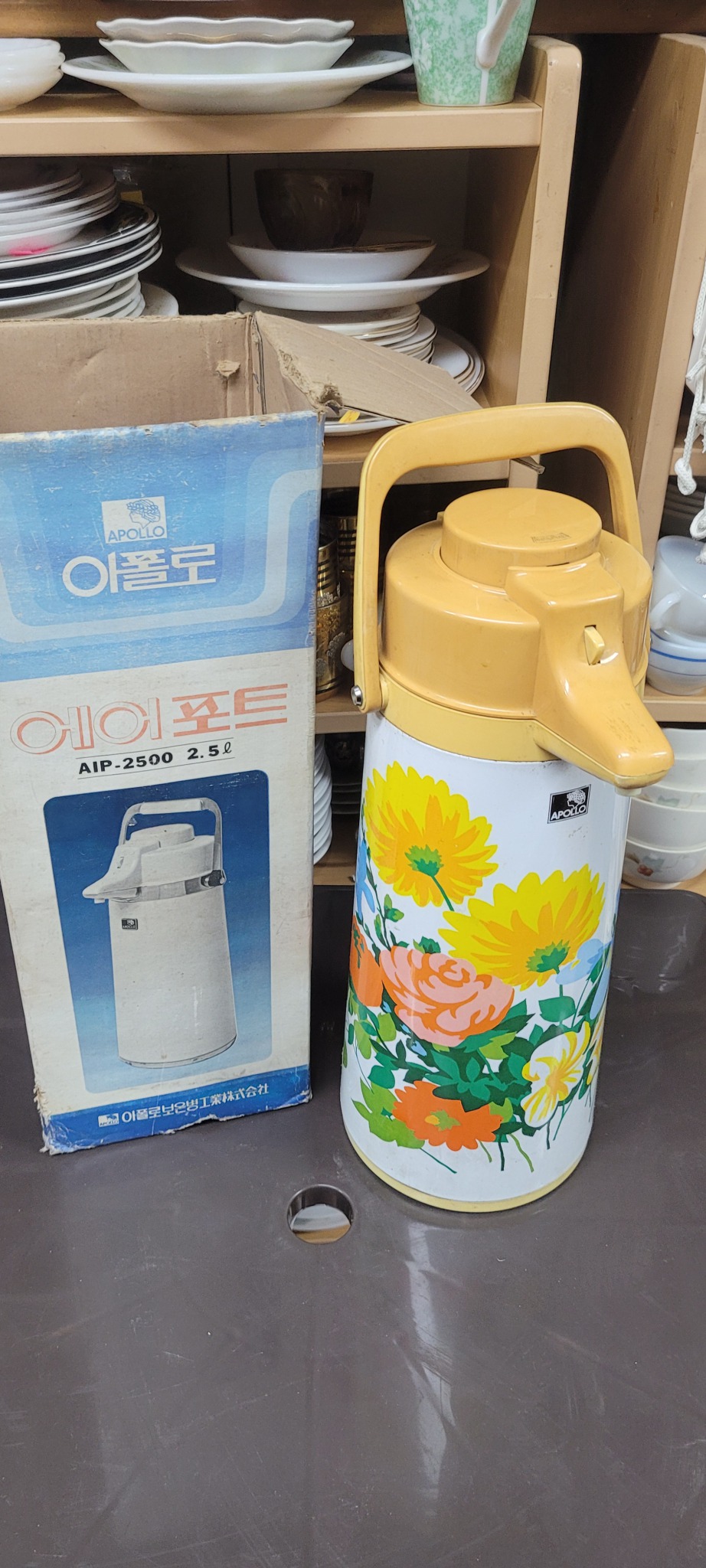 근대사 아폴로 마우병