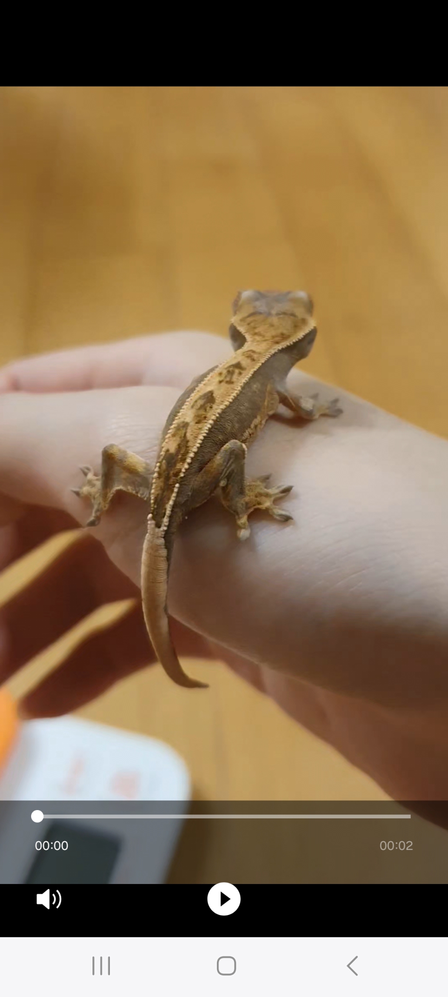 유튜브 접습니다 채널