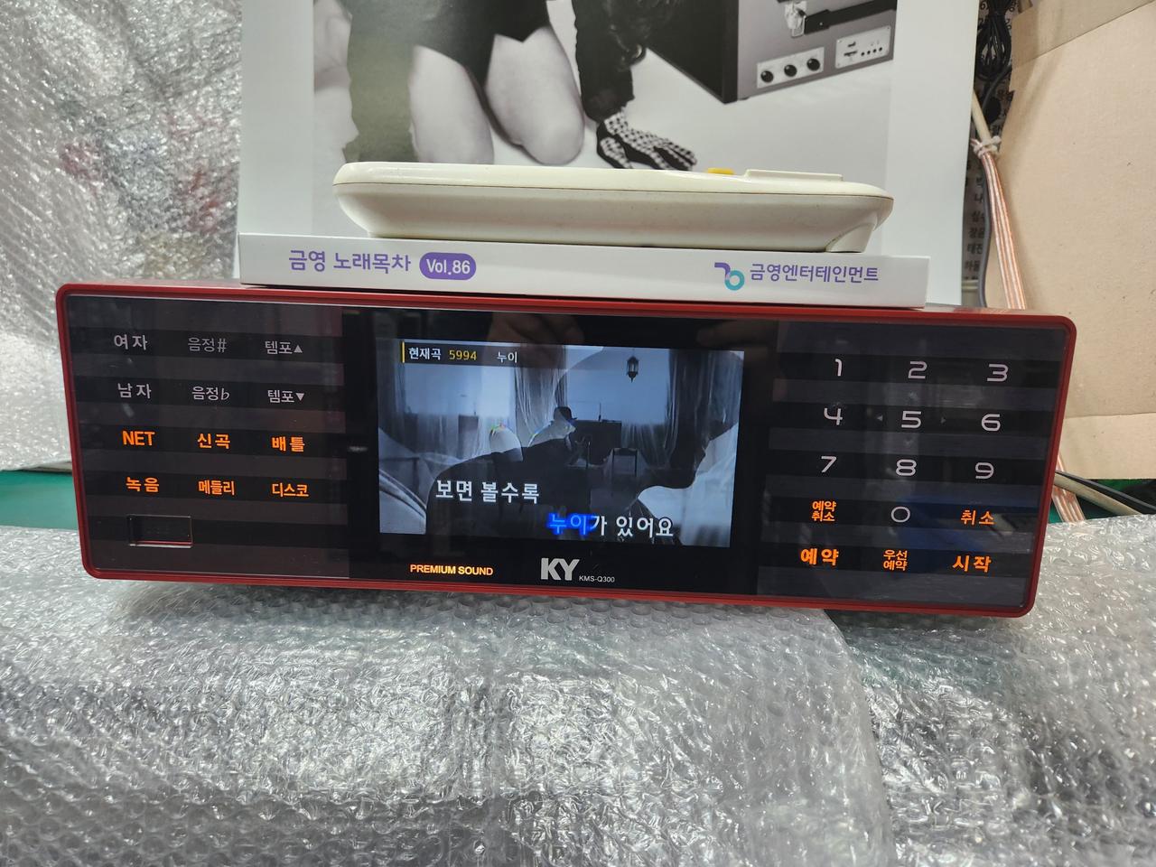 금영 Q300