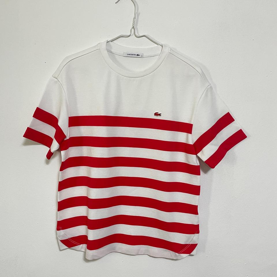 C298 라코스테 레드 스트라이프 반팔 34