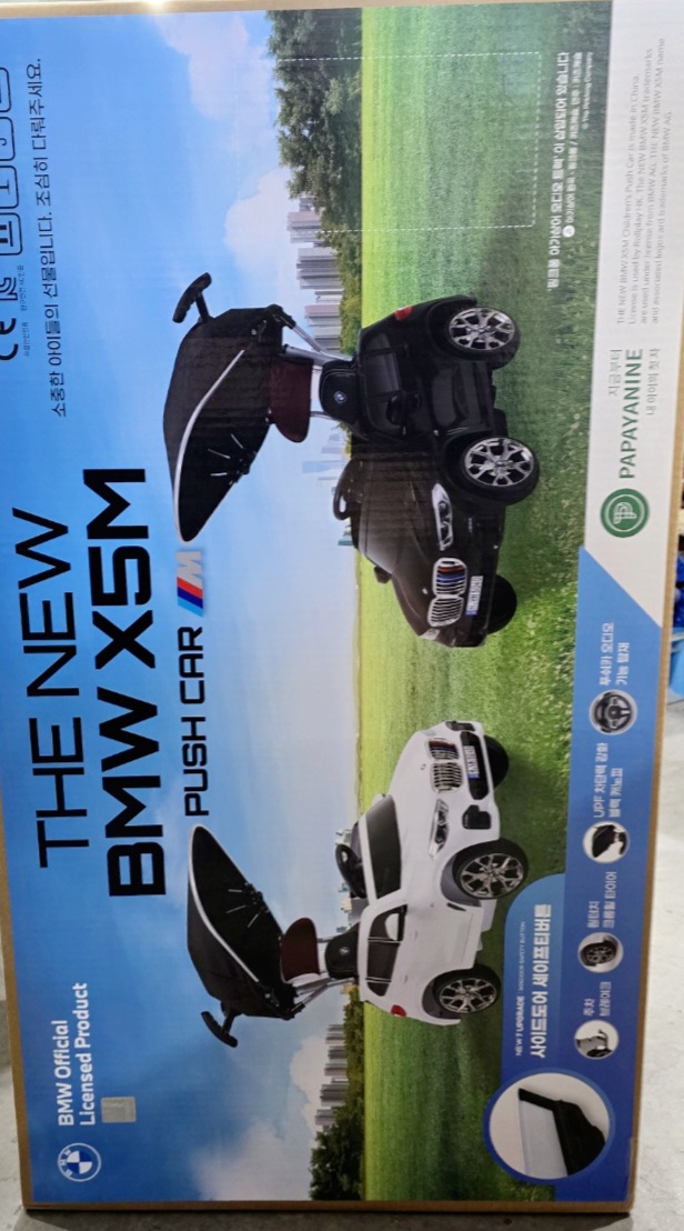 파파야나인 x5 푸쉬카