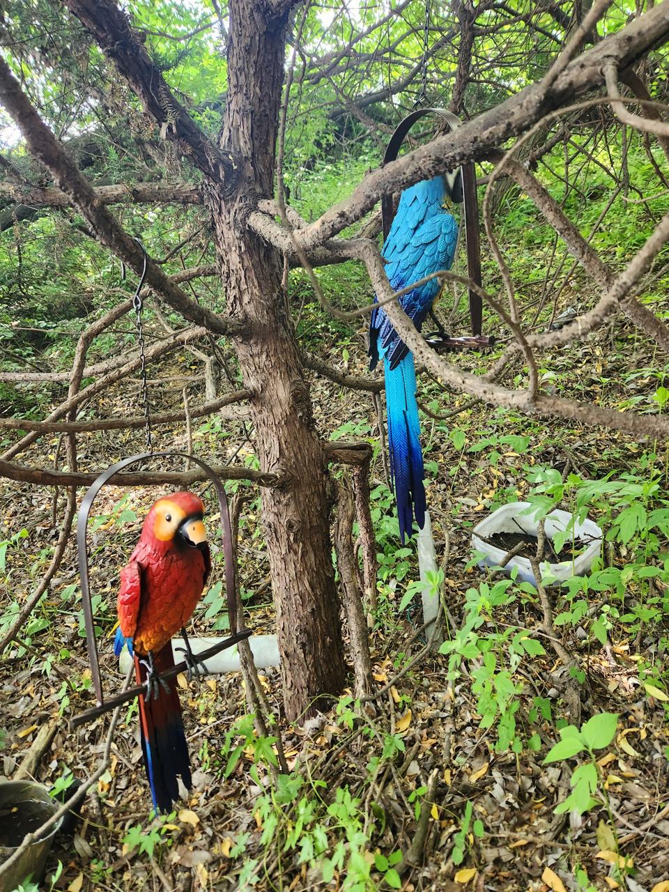 철재 앵무새 정원엔틱