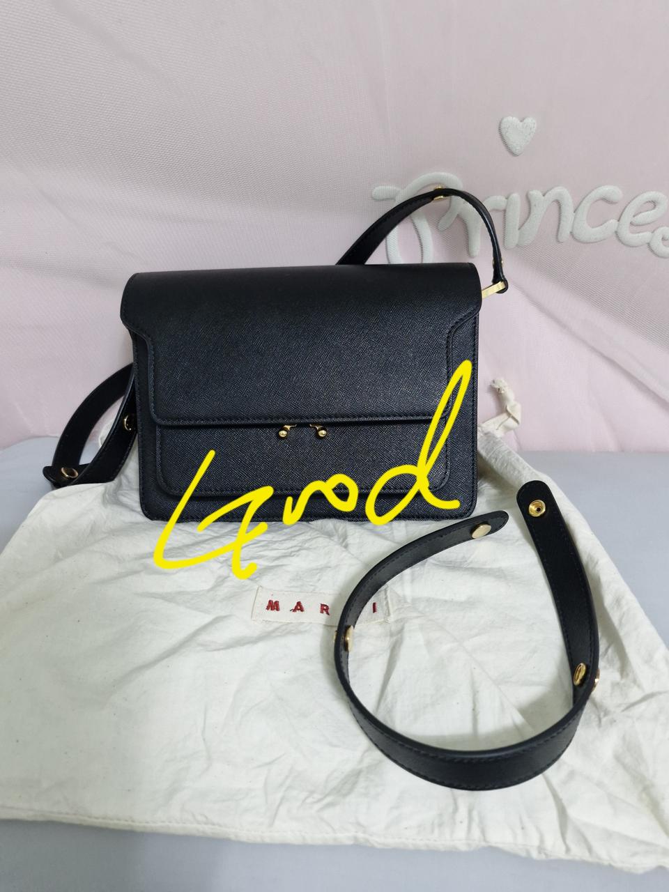 마르니 사피아노 트렁크백