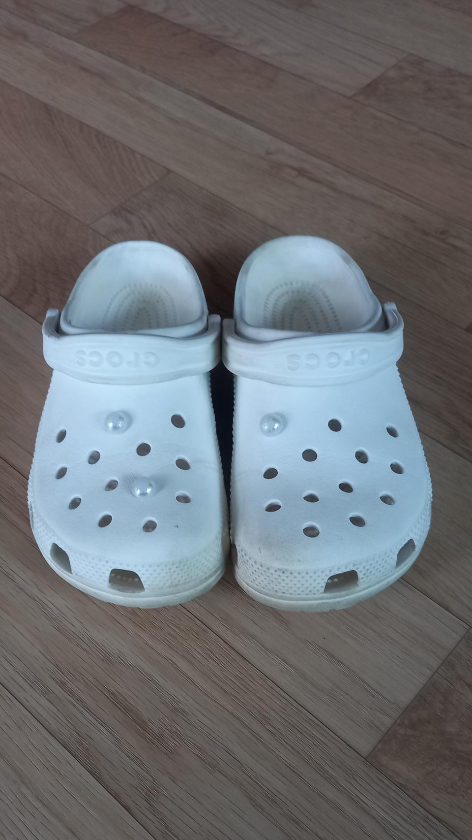 주니어 크록스 240