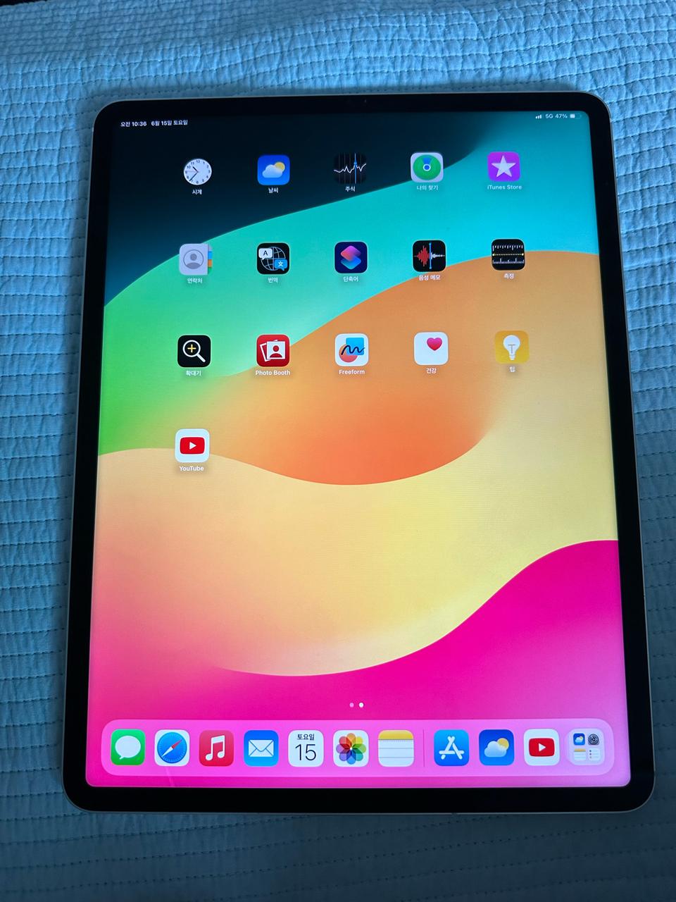 아이패드 프로 256기가 셀룰러 5세대