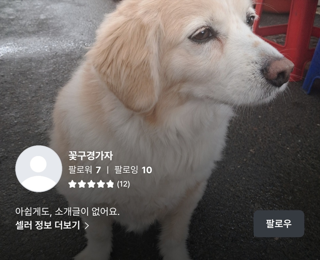 꽃구경가자 라는 사람한테 물건 사지도 팔지마세여!