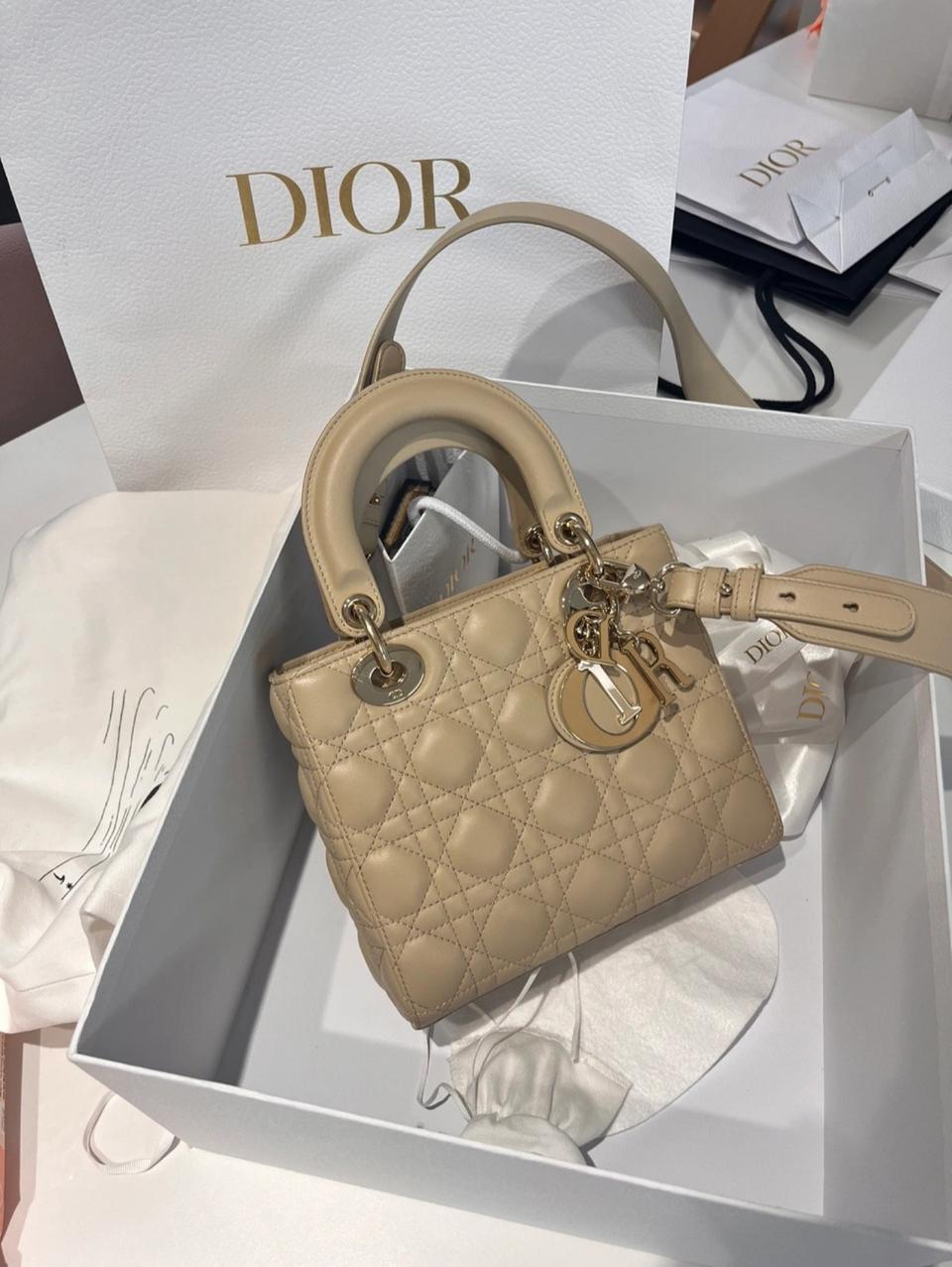 디올 레이디백 스몰 베이지