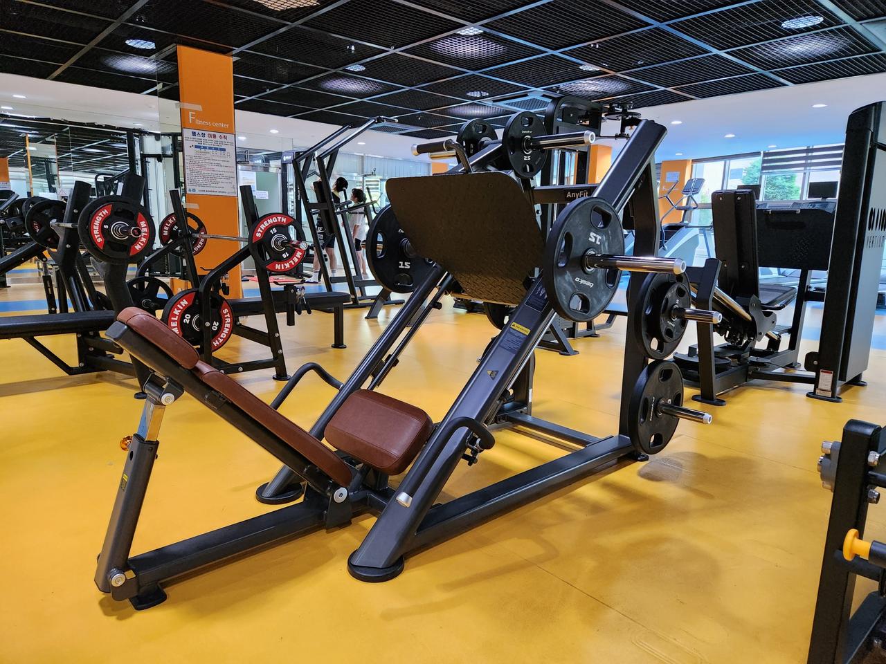 독일 애니핏 파워레그프레스