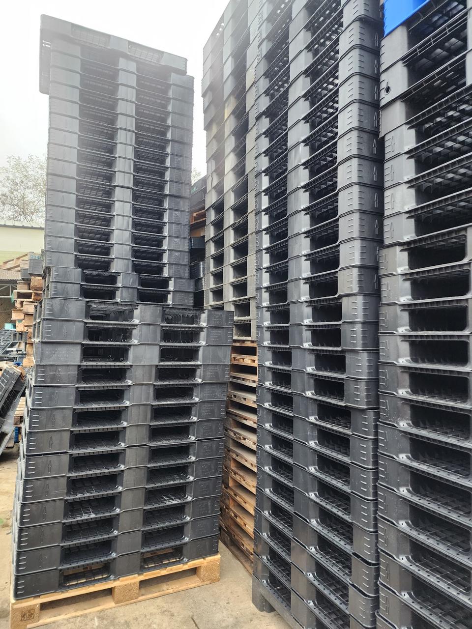 수출용파렛트 팝니다