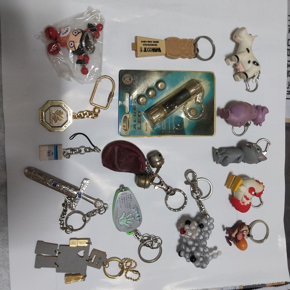 세계 여러나라의 다양한 820개 키고리