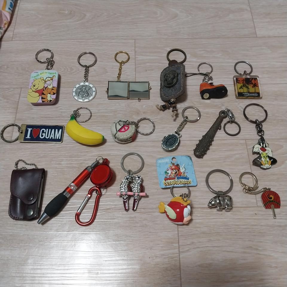 세계 여러나라의 다양한 820개 키고리