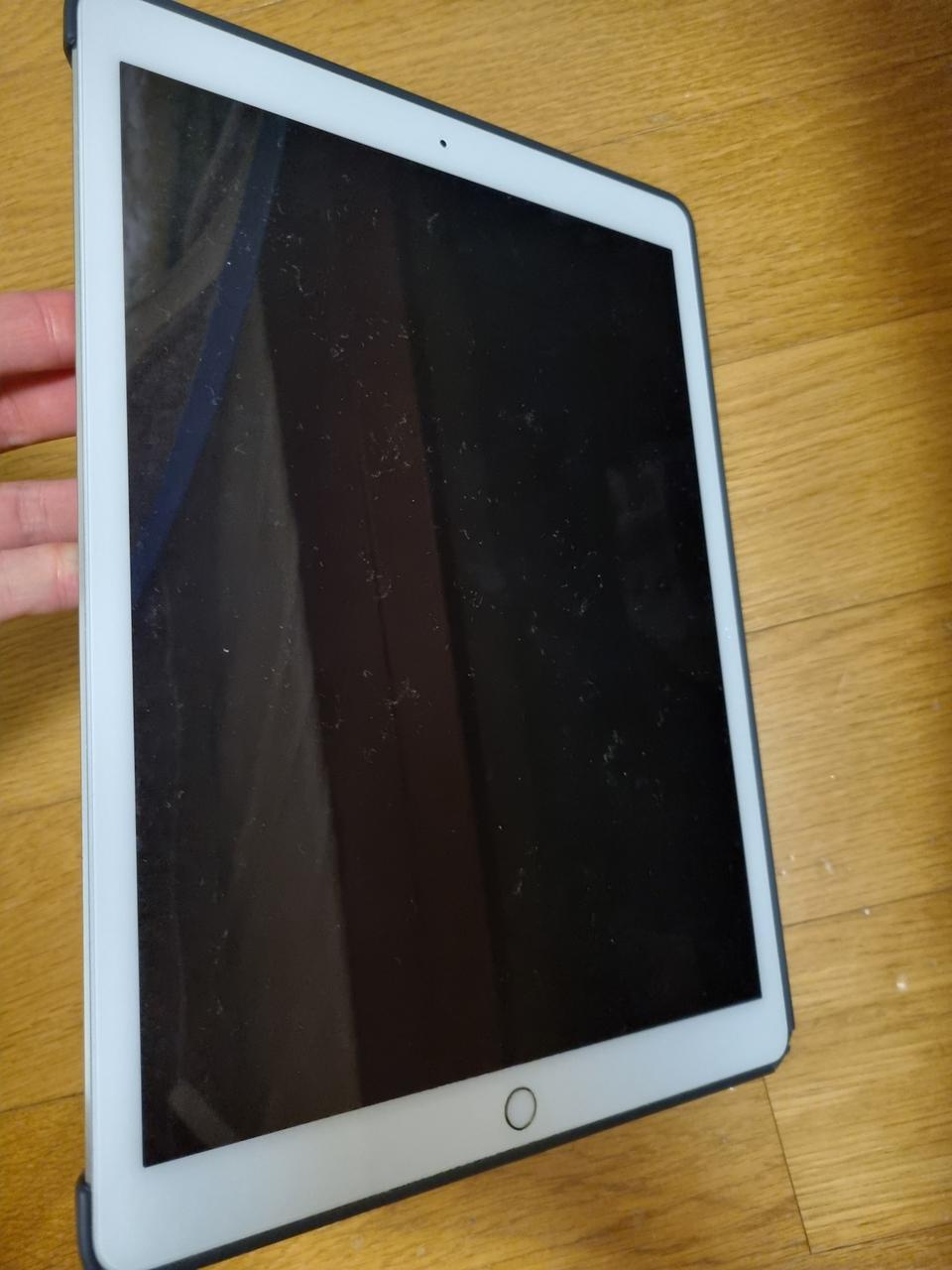 아이패드 프로 12.9인치 1세대128gb