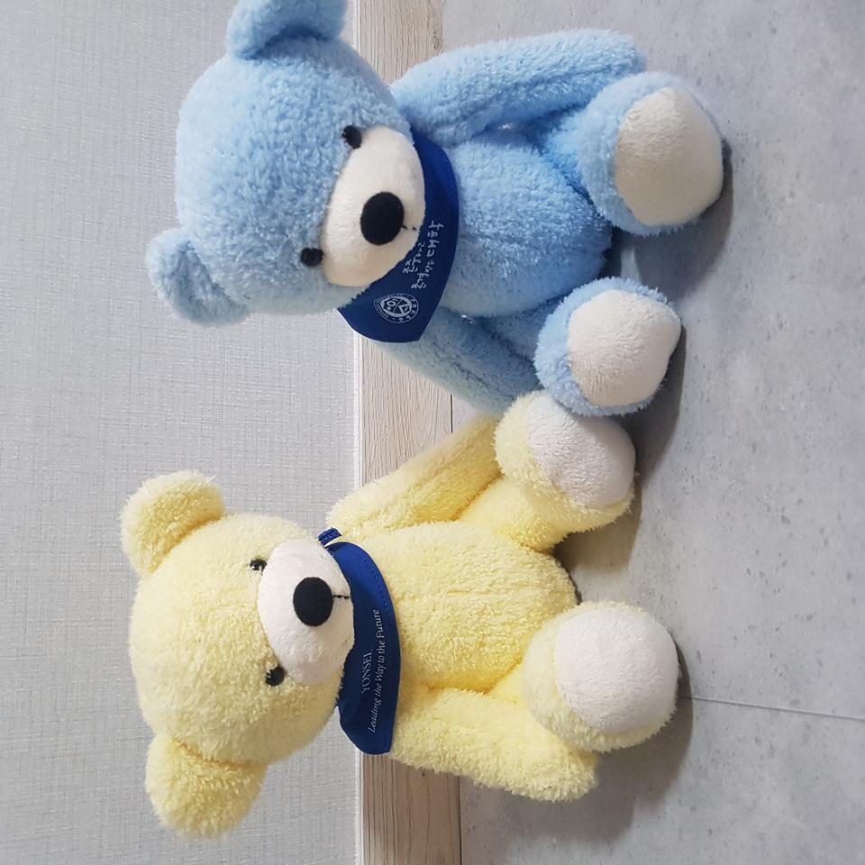 테디베어 뮤지엄 곰인형 (기념품) 2마리 노랑,파랑 (새제품)