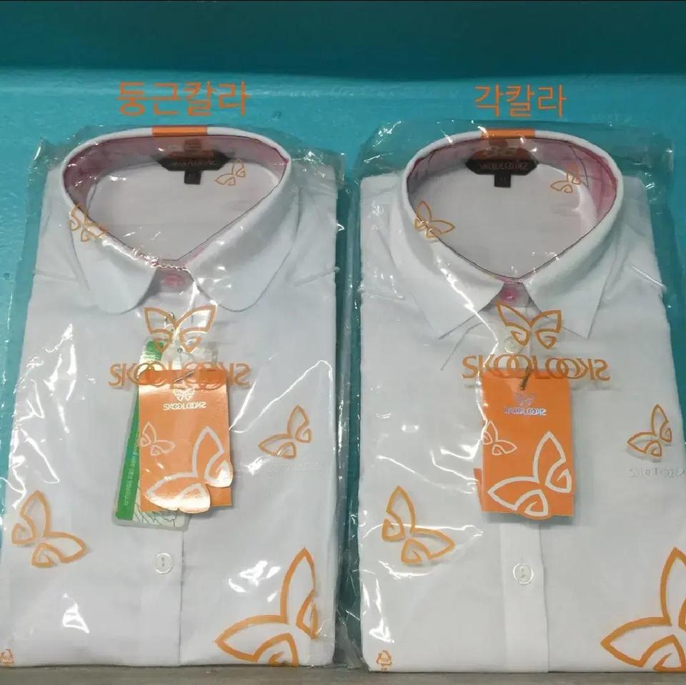 [스쿨룩스학생복] 여학생 공용백색 블라우스(둥근/각칼라)