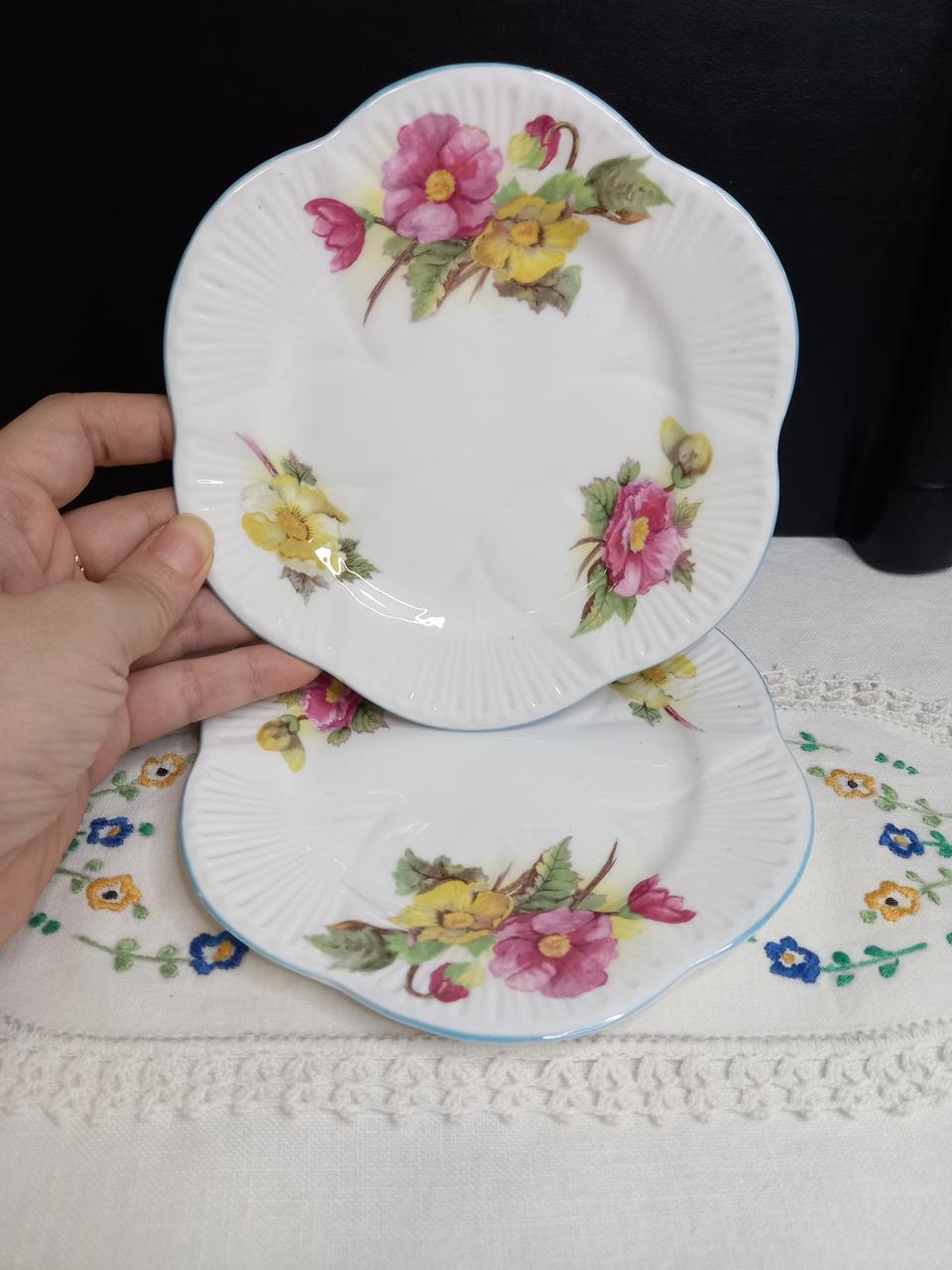 일괄)쉘리 베고니아 브래드접시