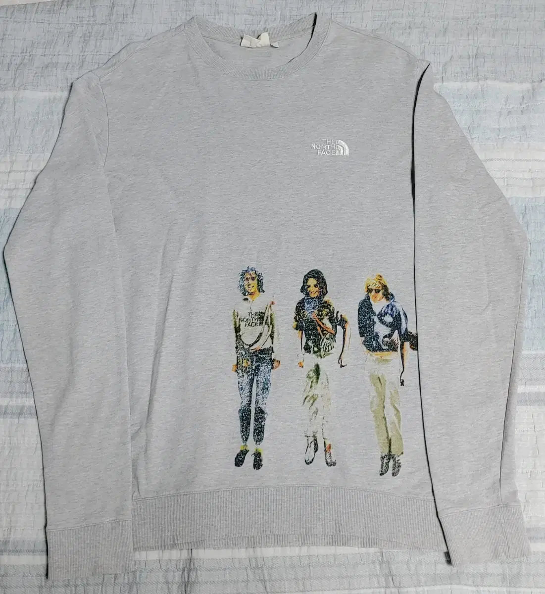 노스페이스 그레이 맨투맨 [할인 이벤트 진행중]