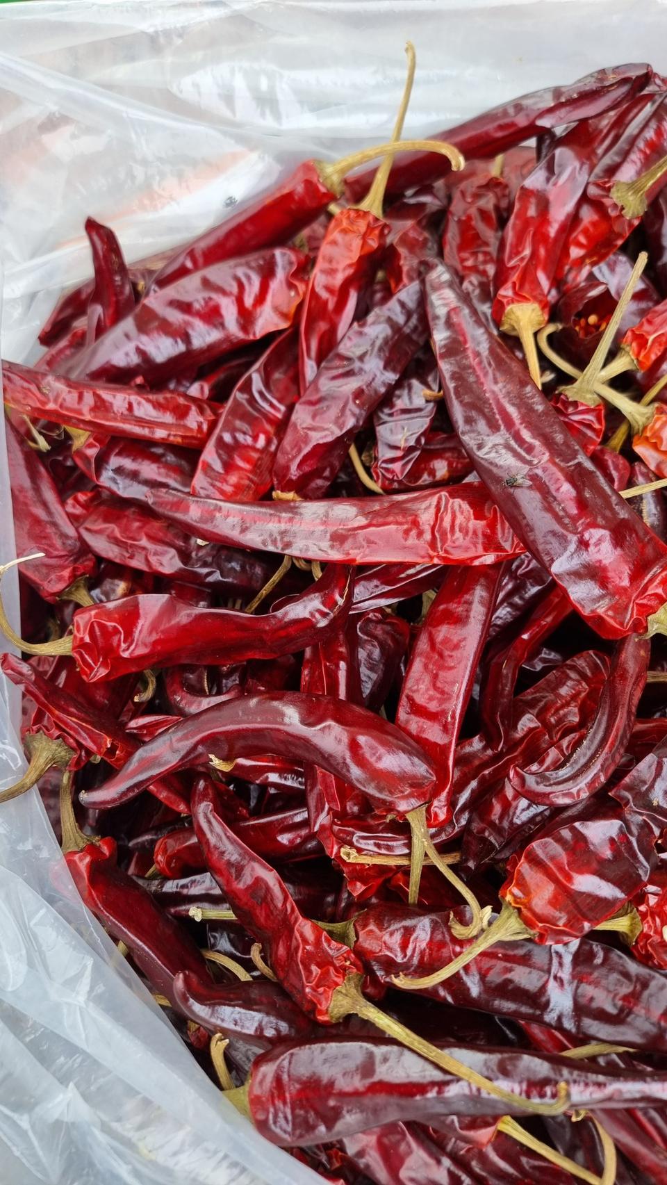 24년산햇고추가루600그램18000원10근이상택비무료