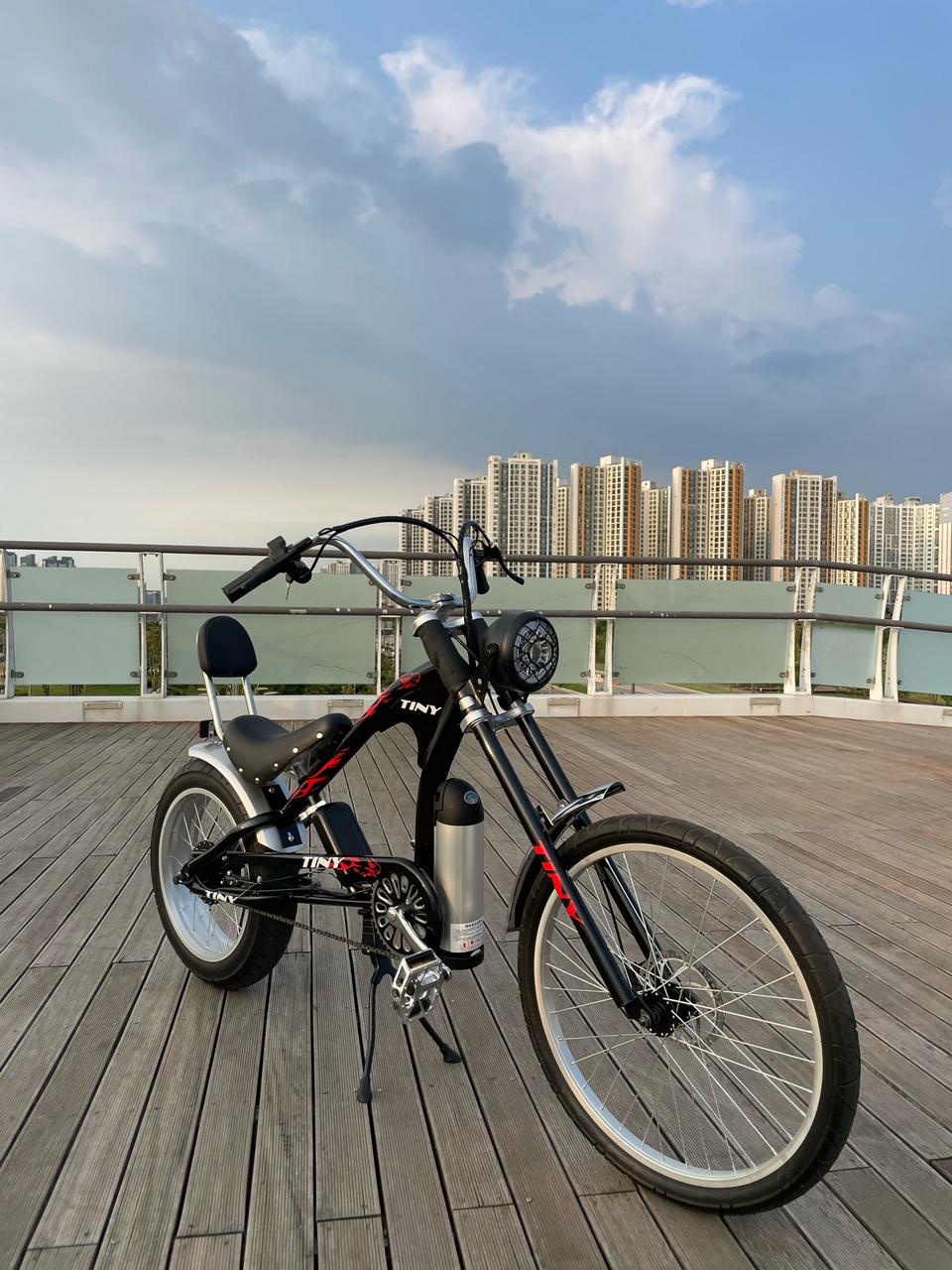 할리 전동 자전거 (새것)