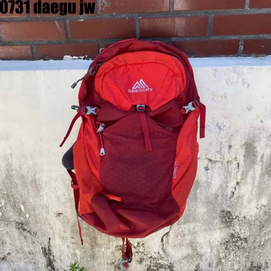 그레고리 백팩