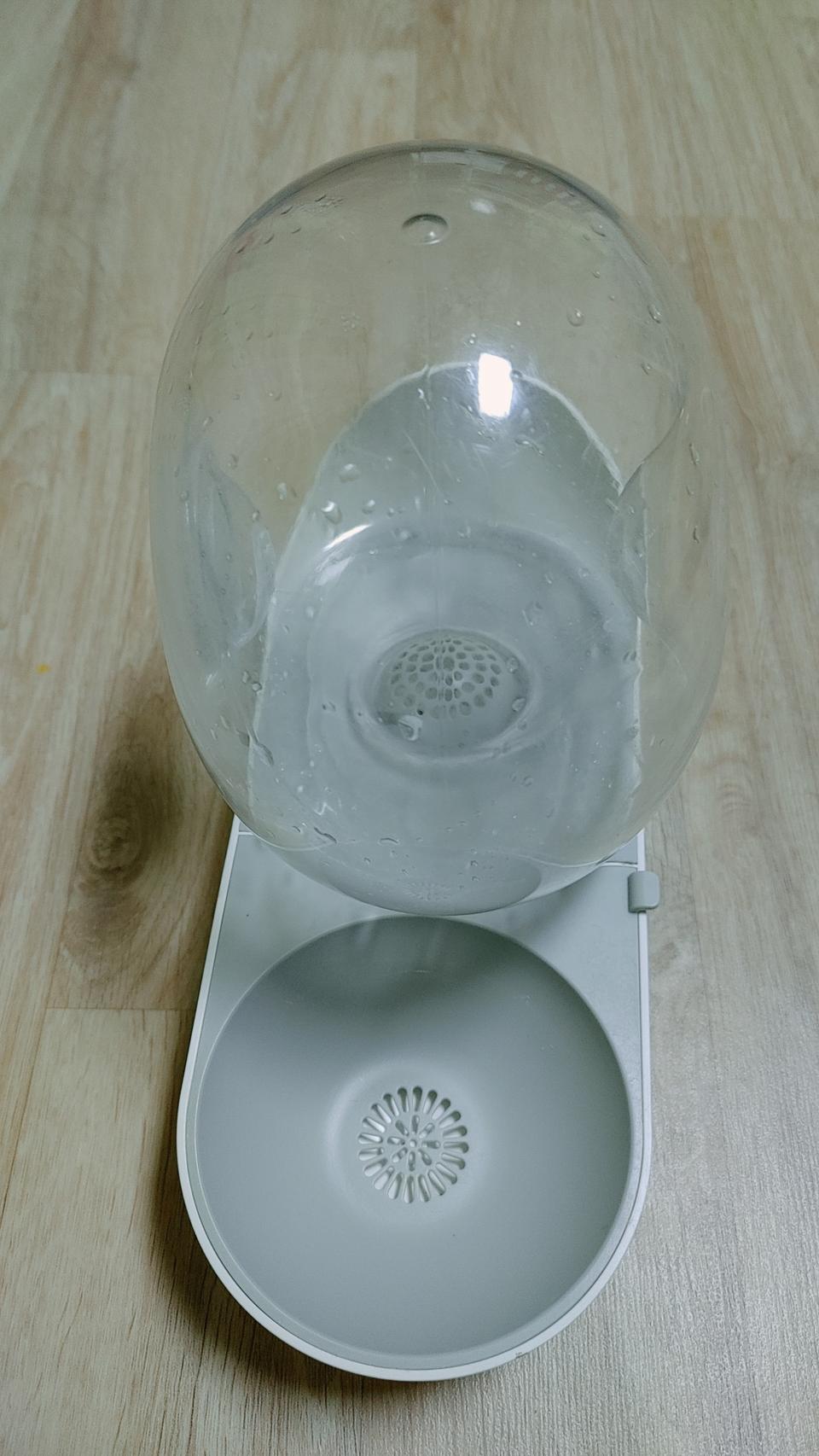 강아지 물통
