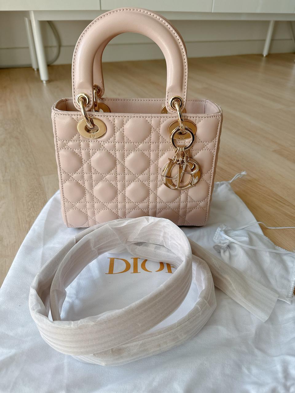 디올 레이디백 스몰