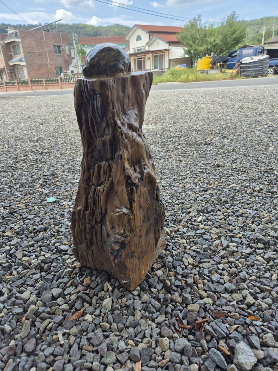 나무화석에 천년기념물돌로만든 두꺼비