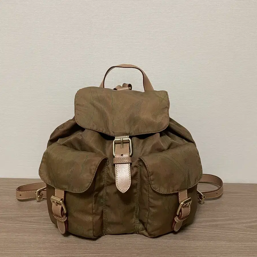 정품 에트로 백팩