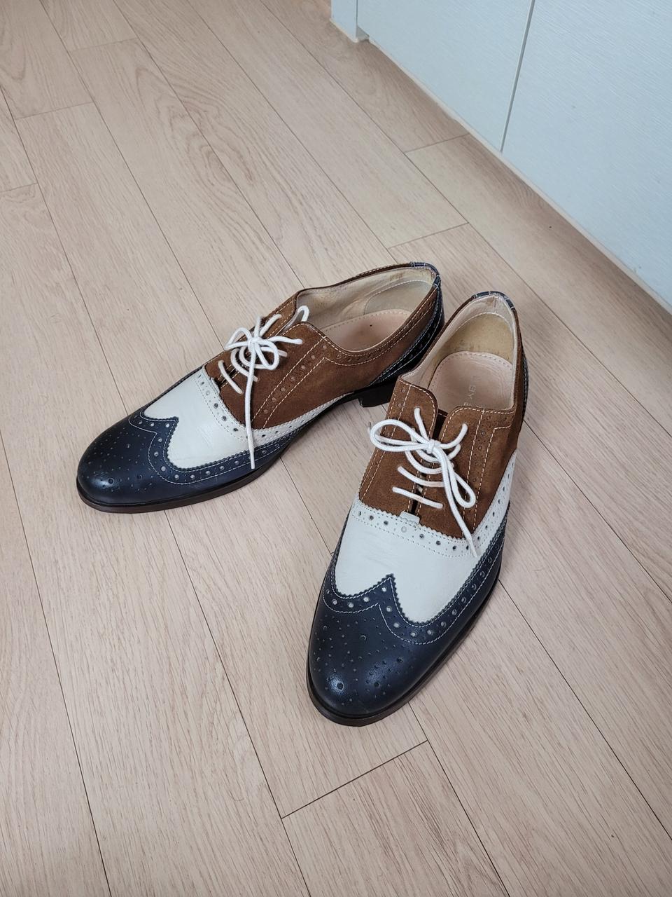 엘칸토 ELCANTO 남자 윙팁 옥스포드 265 (42) 네이비브라운