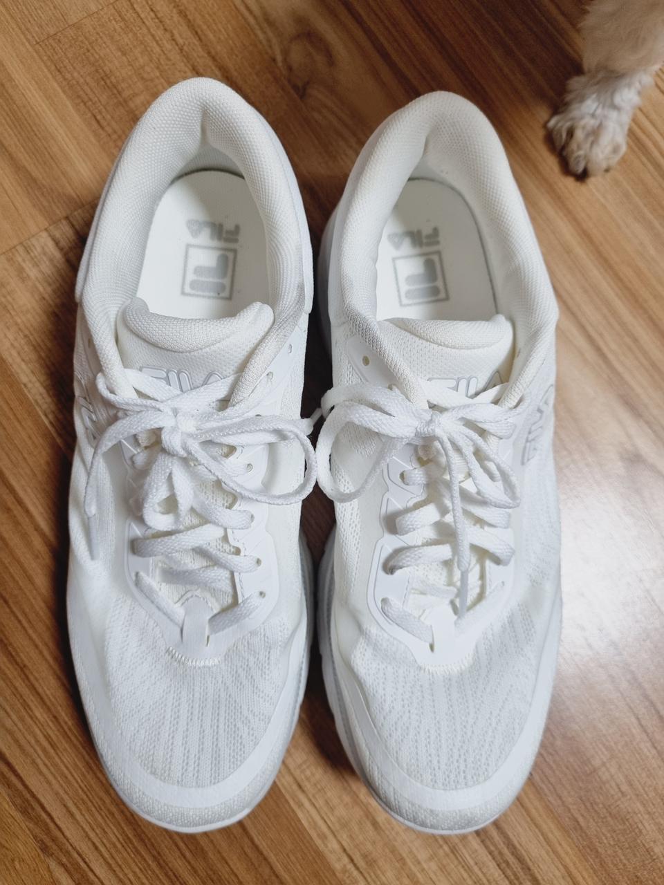 휠라255, 운동화255