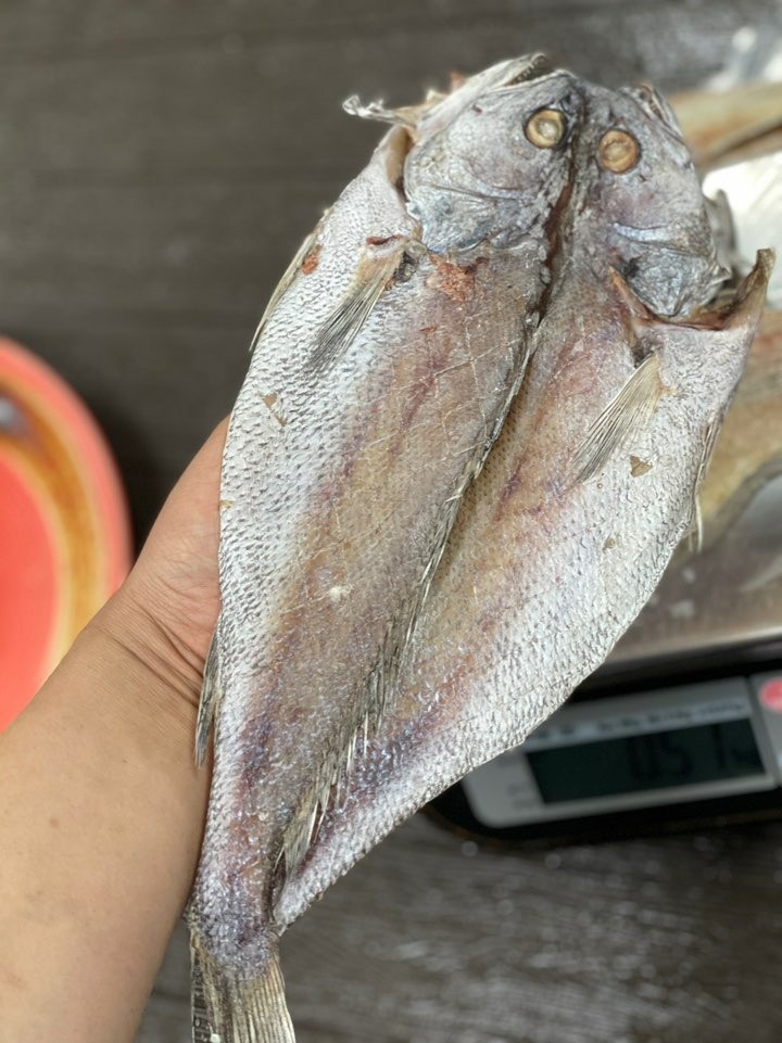 자연산 반건조 편민어 5미