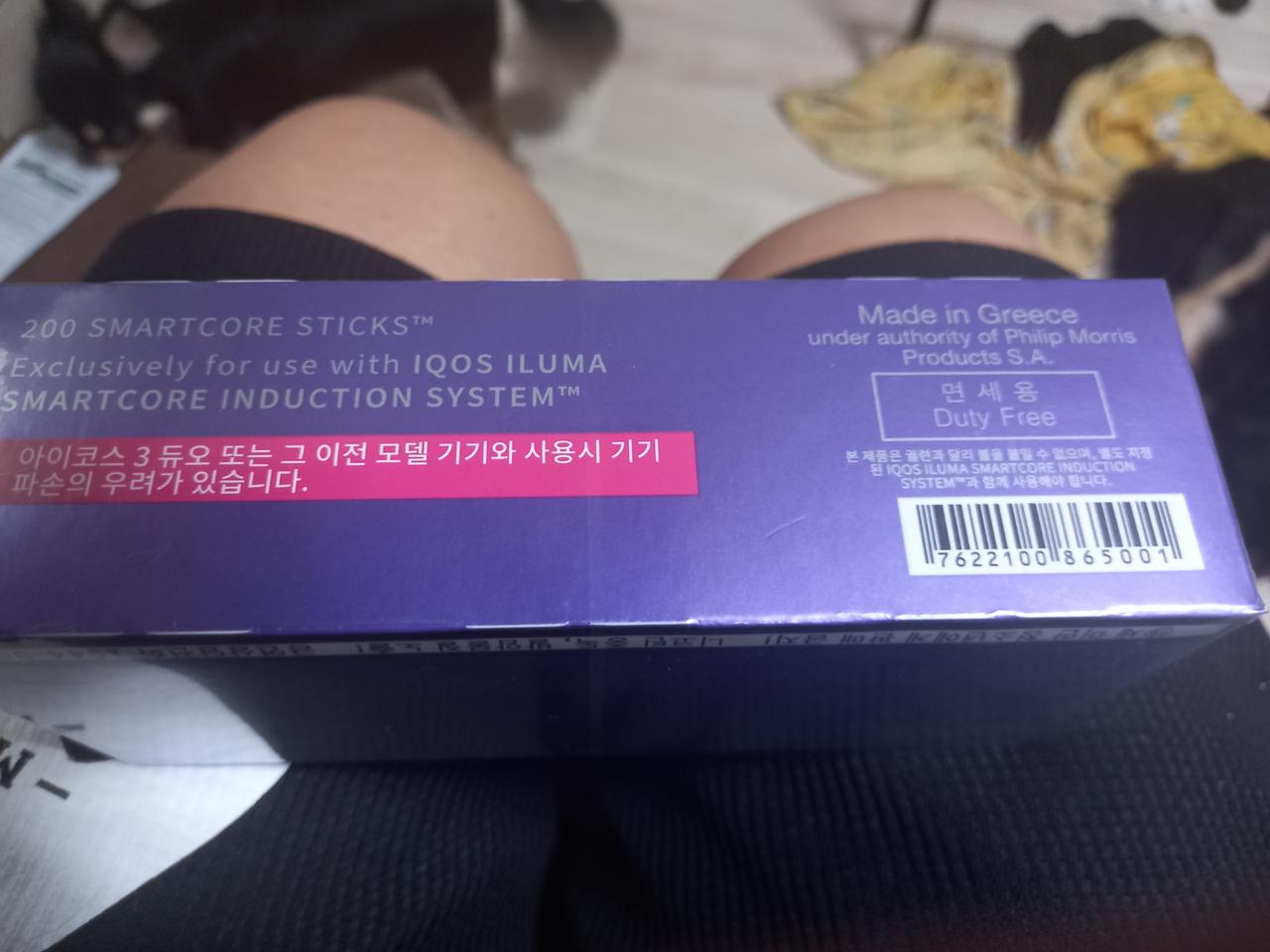 테리어일루마