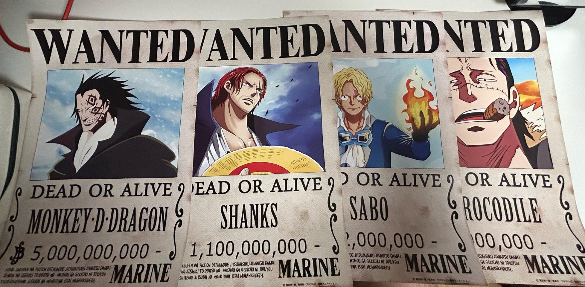 원피스 현상수배지 (일괄 총66장)