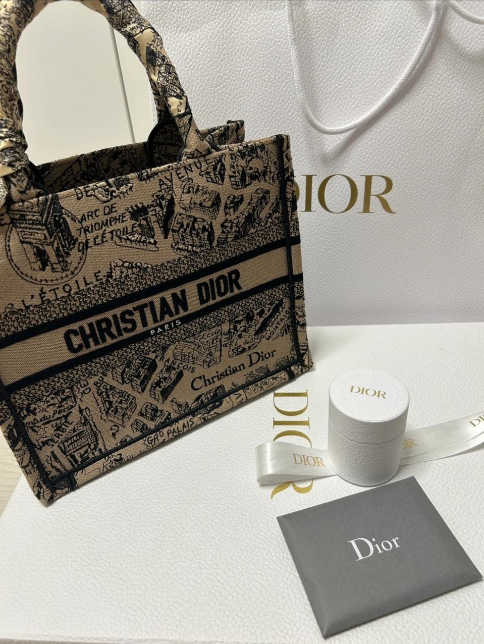 디올 북 도트백