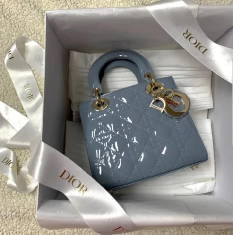 디올 레이디백