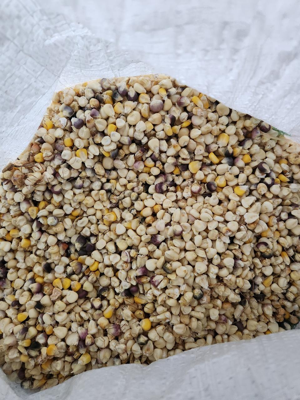 알 옥수수 튀밥