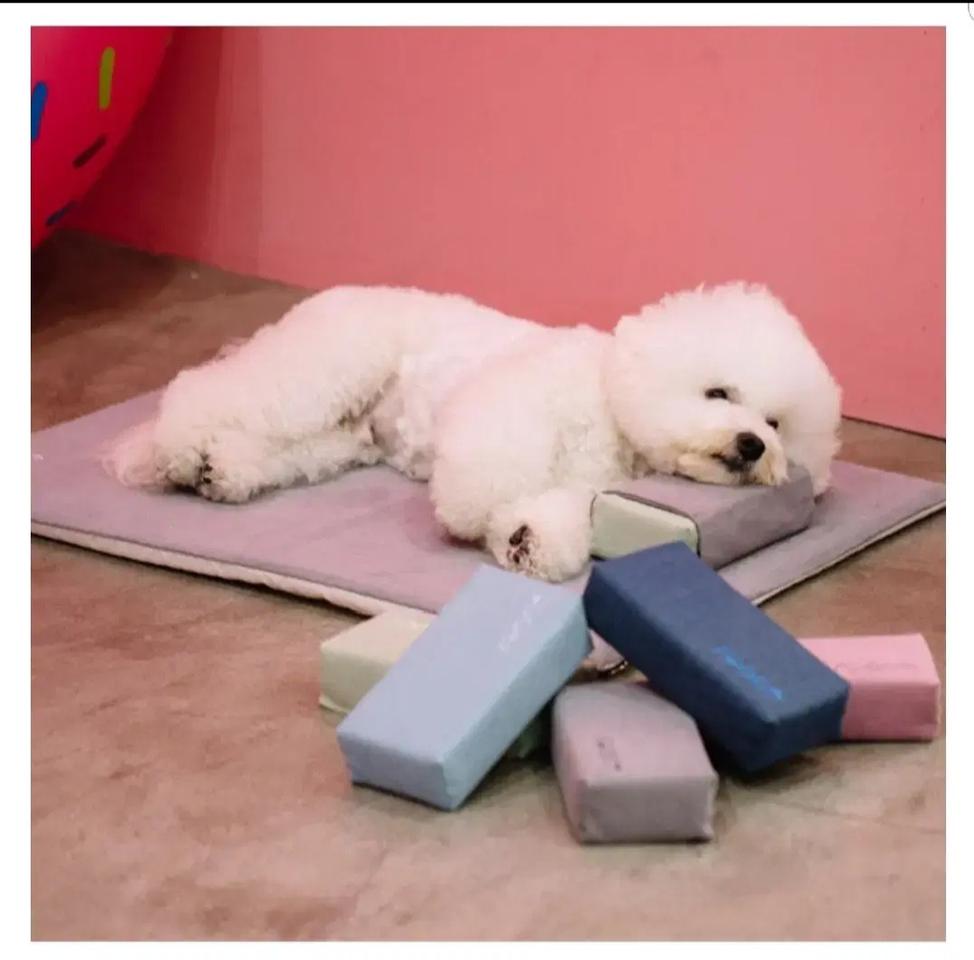 새상품- 정품 로아코 세임플 패드베게세트 +(메모리폼 베게3)